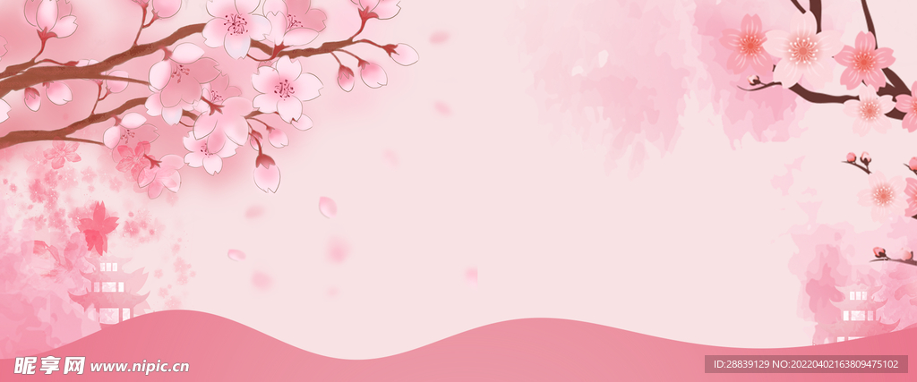 樱花背景