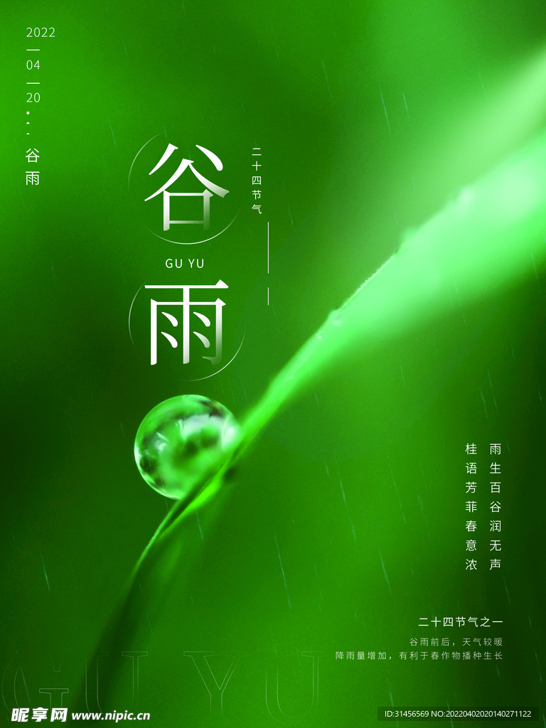 谷雨