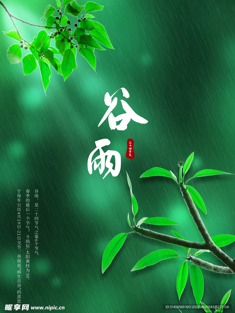 谷雨