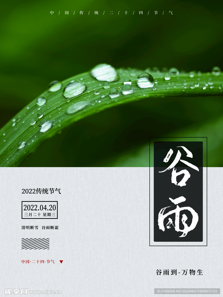 谷雨