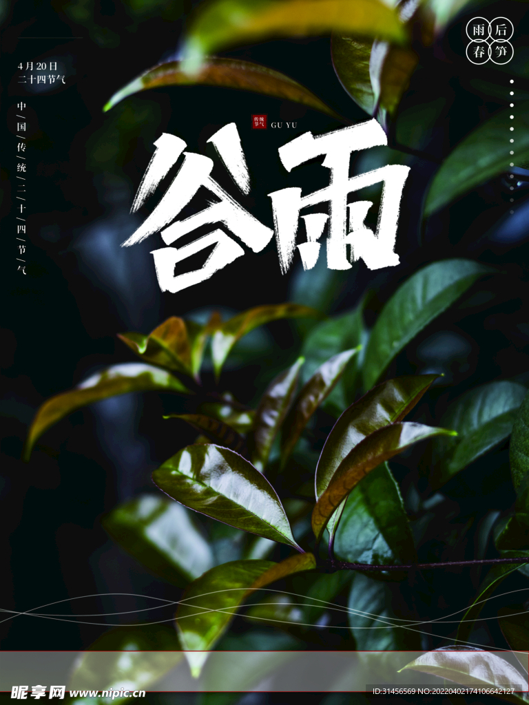 谷雨