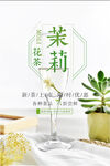 茉莉花茶