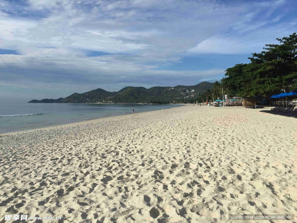 海滩 沙滩