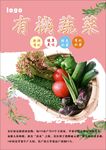 蔬菜海报