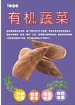 春笋海报