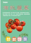 西红柿海报