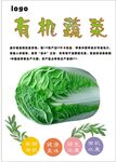 白菜海报