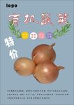洋葱海报