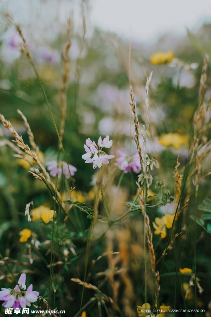 花
