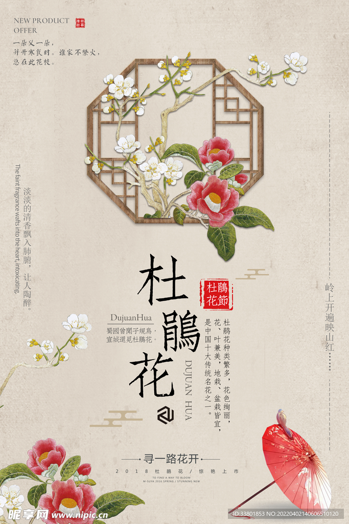 杜鹃花