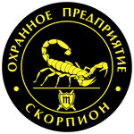 蝎子logo