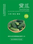黄瓜海报