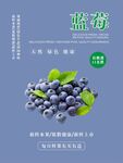 蓝莓海报