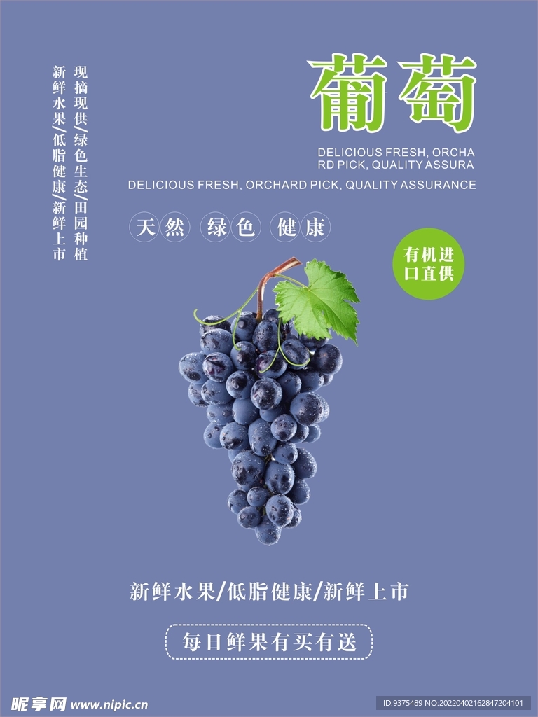 葡萄海报