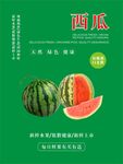 西瓜海报