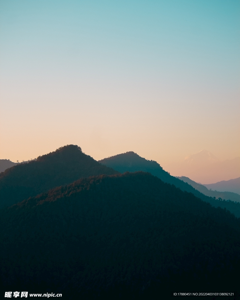山林