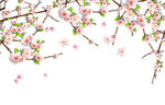 桃花 