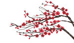  桃花