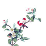 花鸟