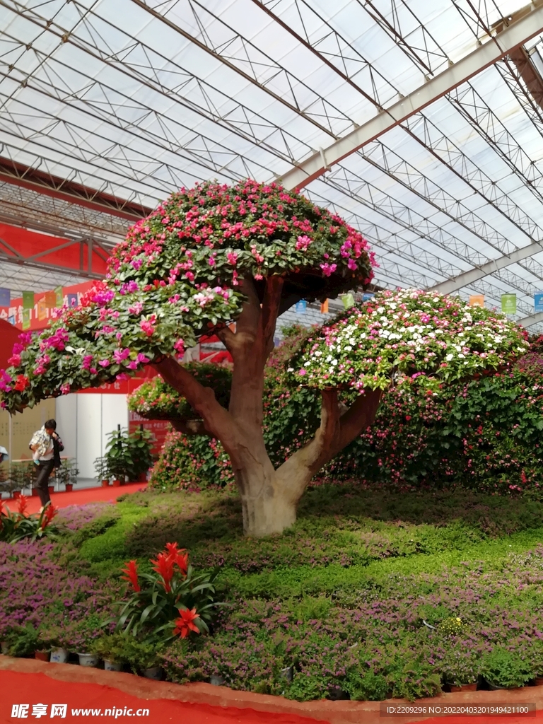 花树