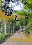奋斗 竹林