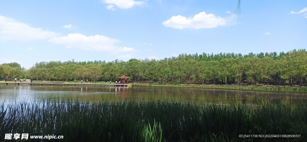 公园湖畔