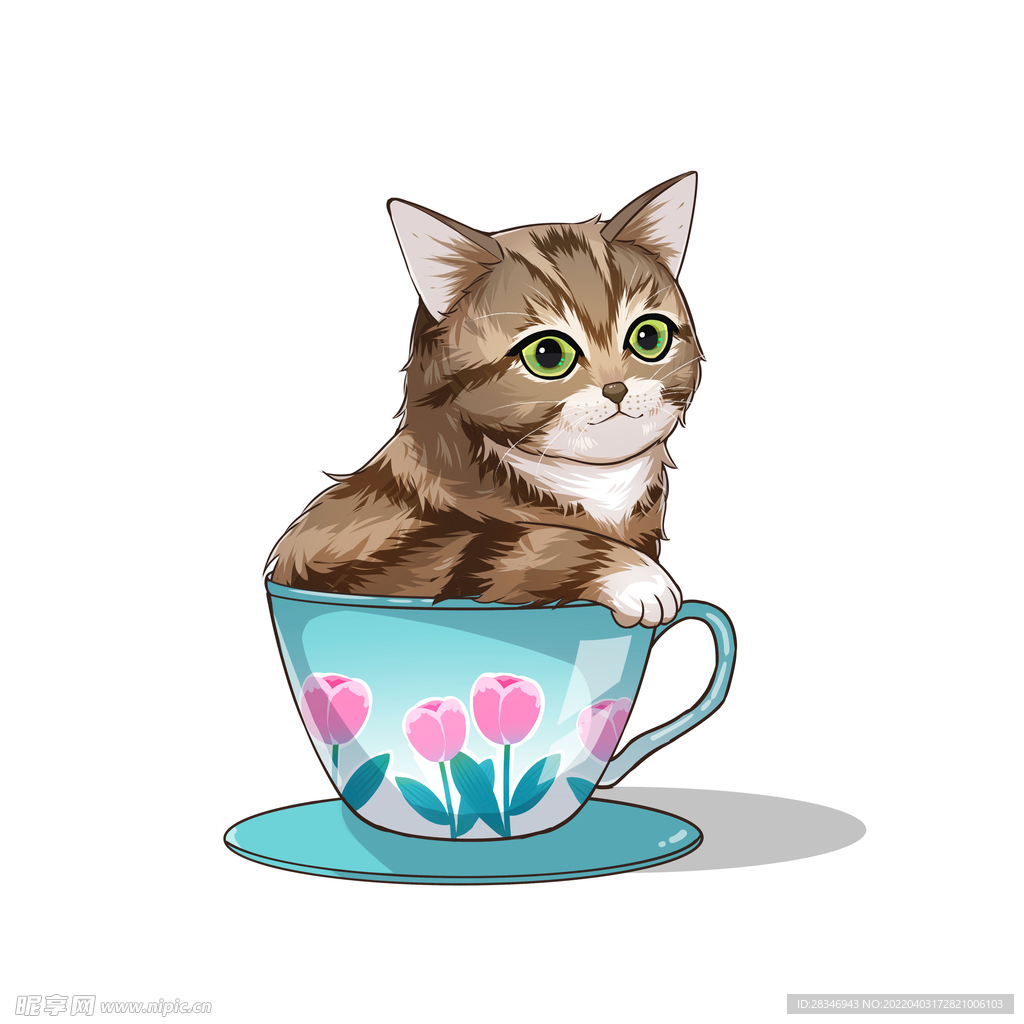 茶杯猫            