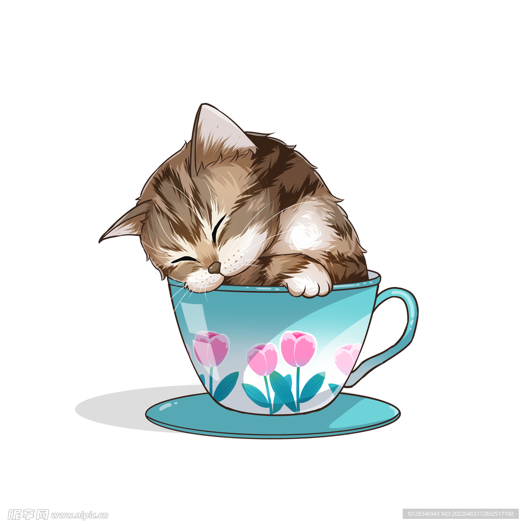 茶杯猫            
