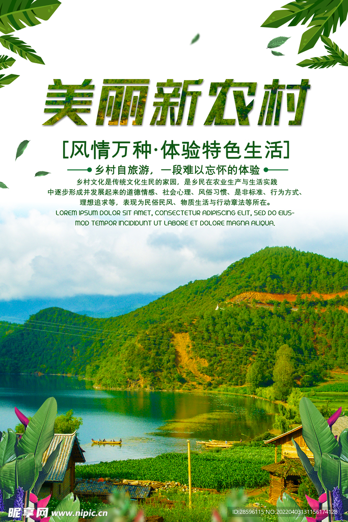 美丽乡村           