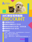 宠物海报