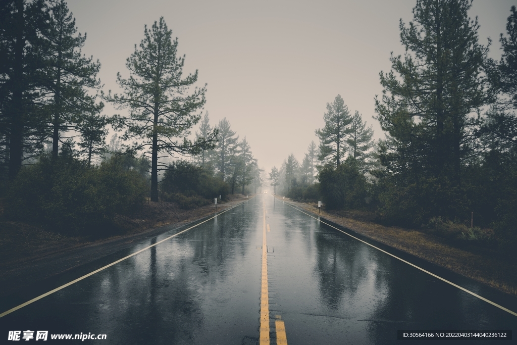 户外暗调湿润道路