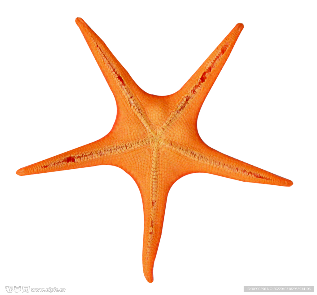 海星免抠