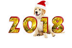 2018狗圣诞节免抠