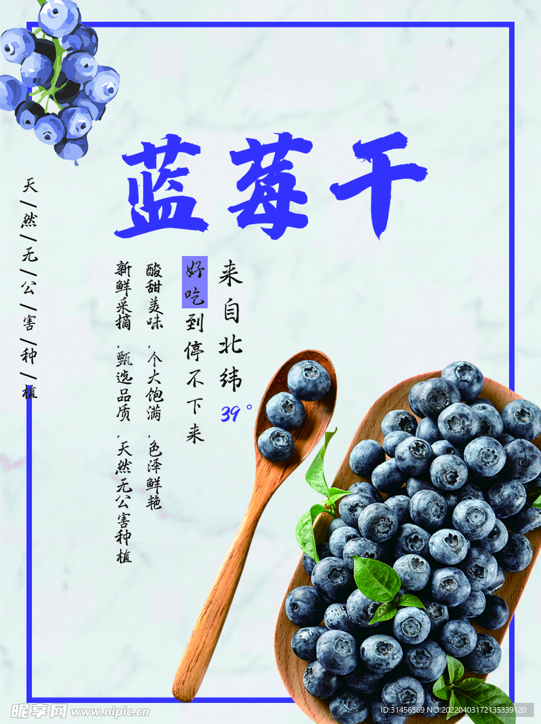 蓝莓干