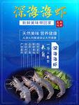 深海虾