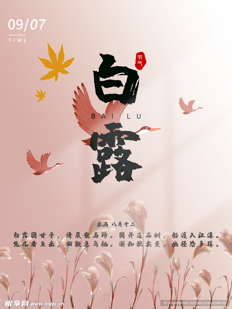 白露