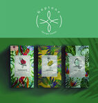 热带植物鹦鹉茶叶包装