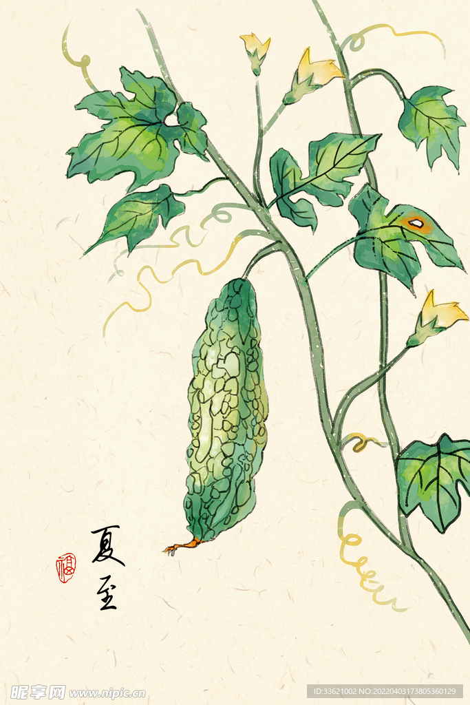 夏至  