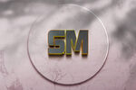 logo样机 