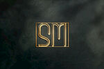 logo样机 
