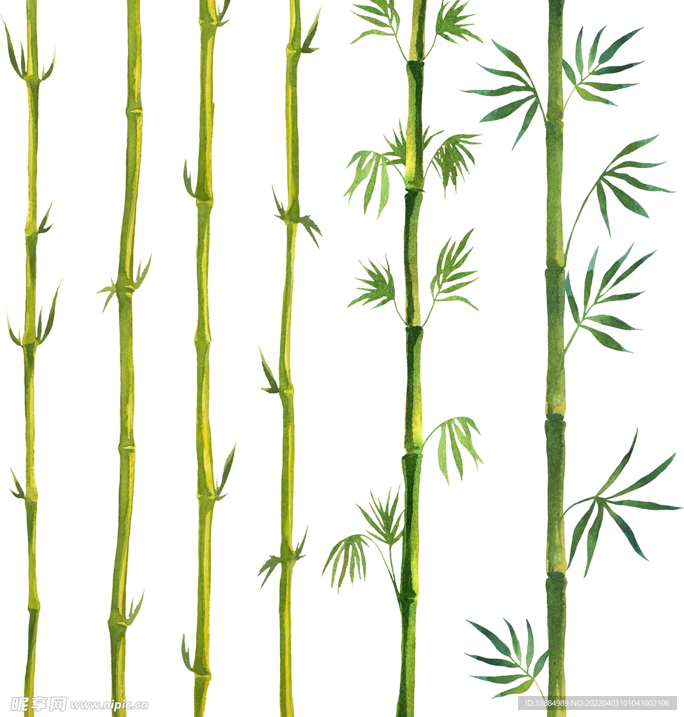 竹子树叶素材