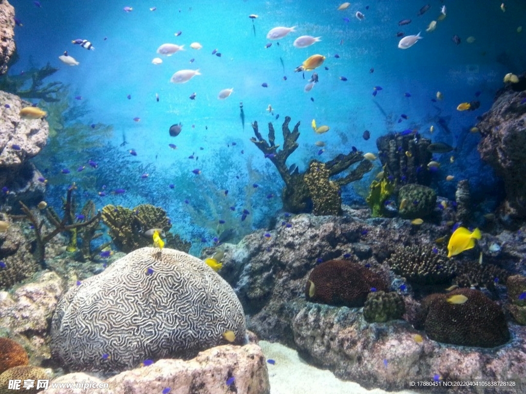 海底