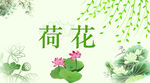 荷花