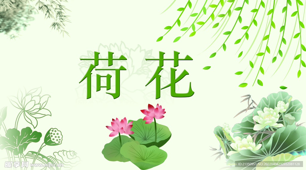 荷花