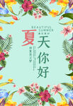夏天你好