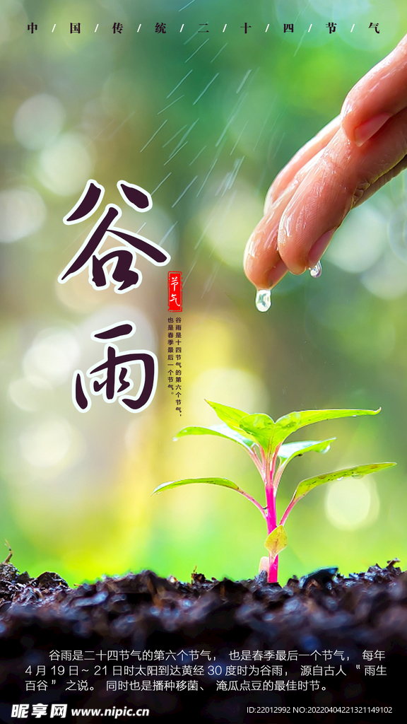 谷雨