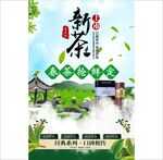 新茶上市图片
