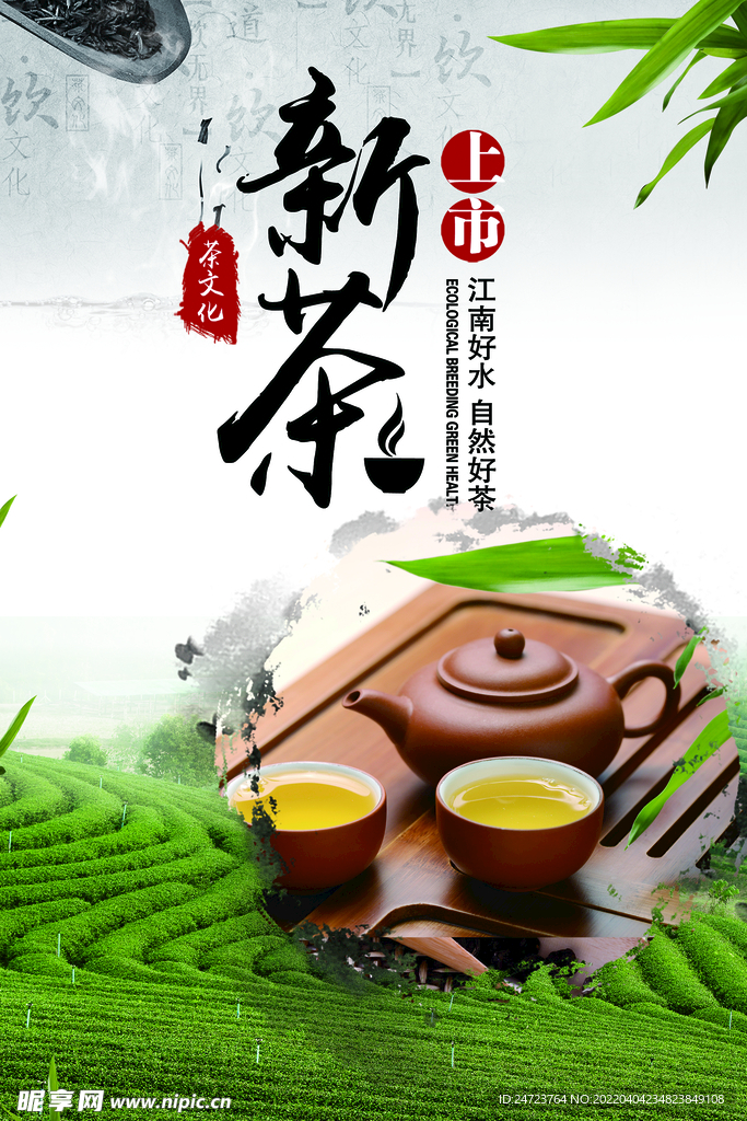 新茶上市图片