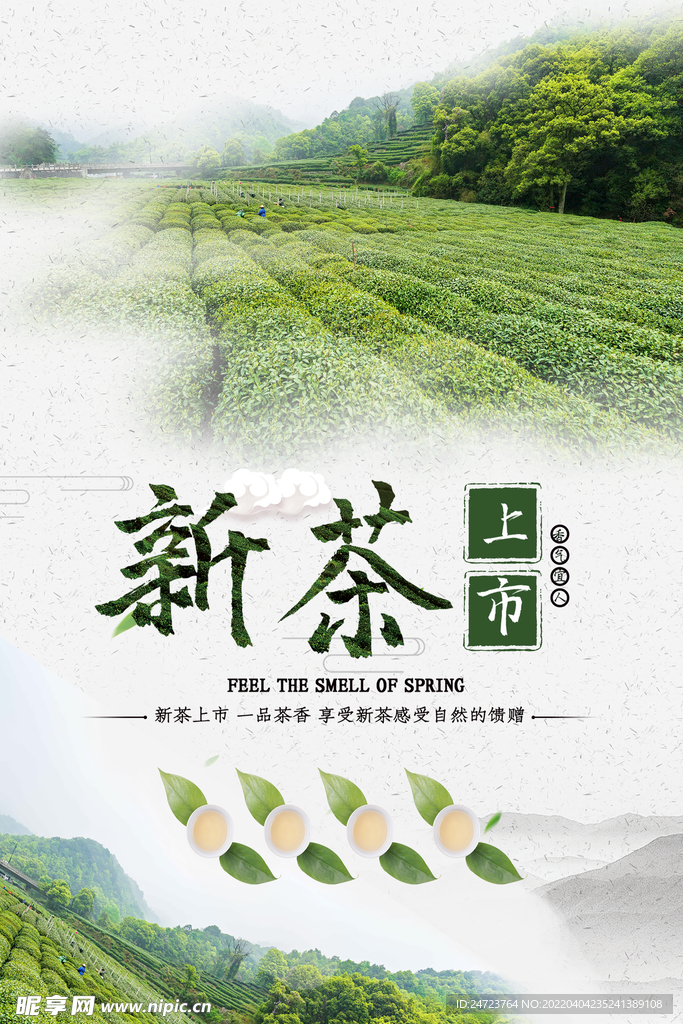 新茶上市 