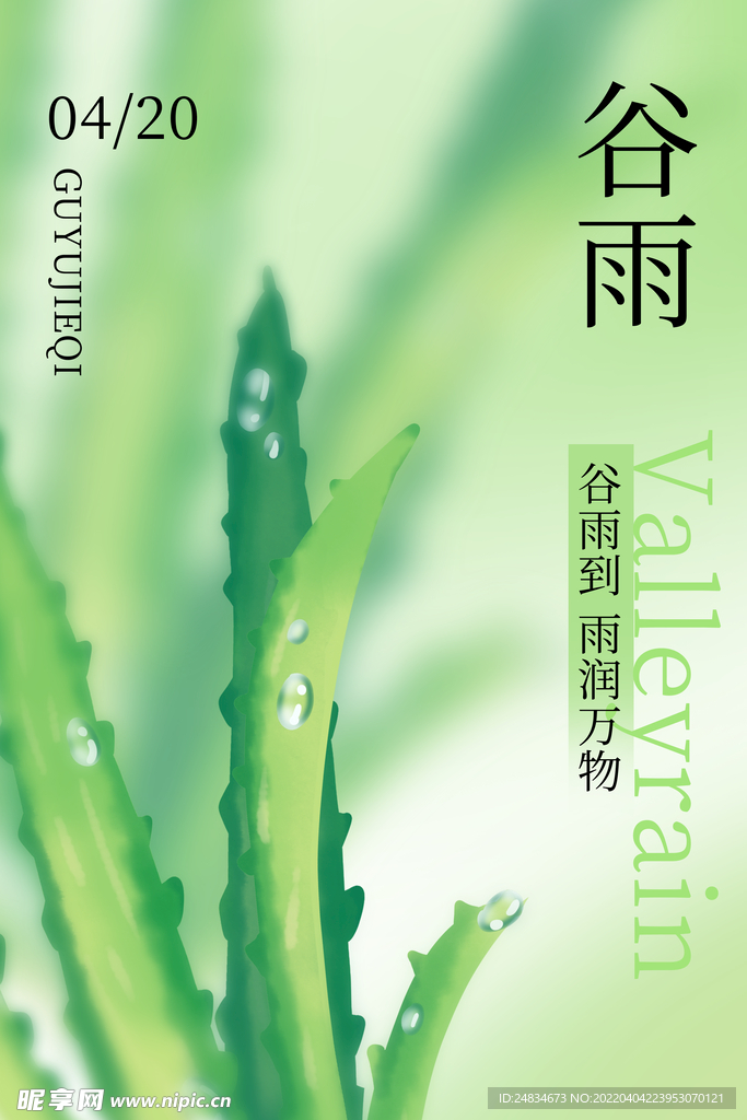谷雨